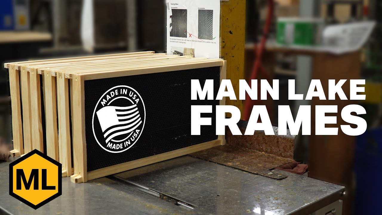 Why Mann Lake Beekeeping Frames Outperform Others