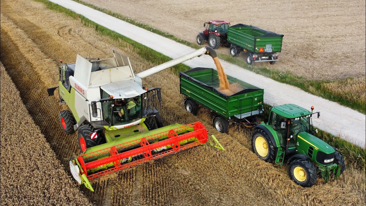 Żniwa 2023 / Claas Trion / John deere / Case / Zasław