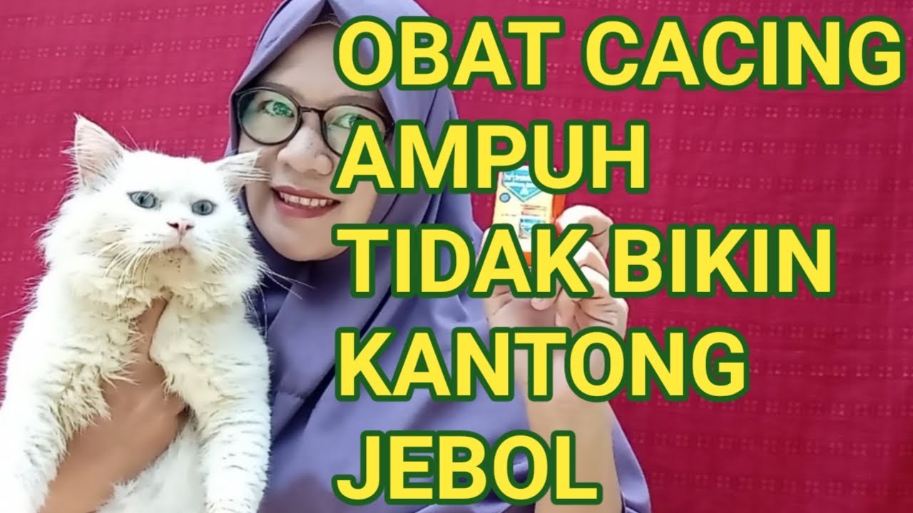 OBAT CACING AMPUH UNTUK KUCING DAN TIDAK BIKIN KANTONG JEBOL