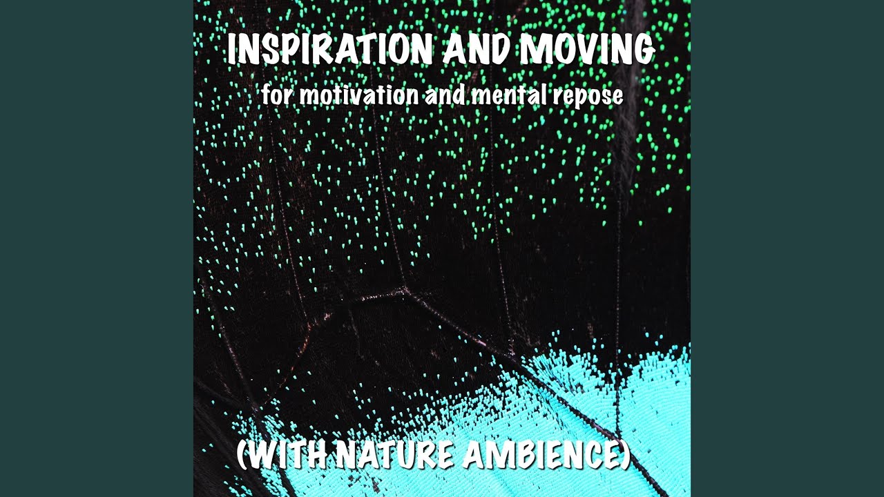 Metalmark Butterfly