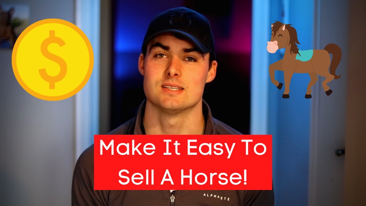 5 Tips To Make A Better Video To Sell A Horse | Equestrian Video