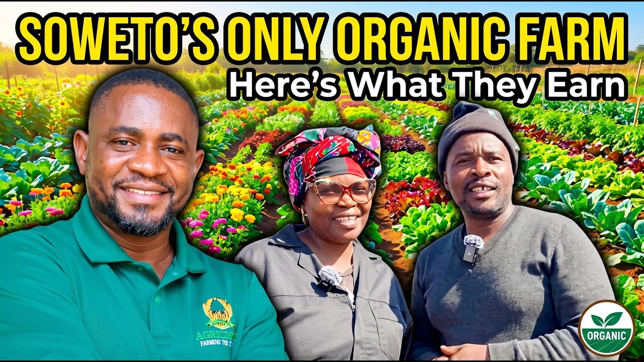 Пара выращивает овощи и разводит кроликов в Южной Африке 🇿🇦