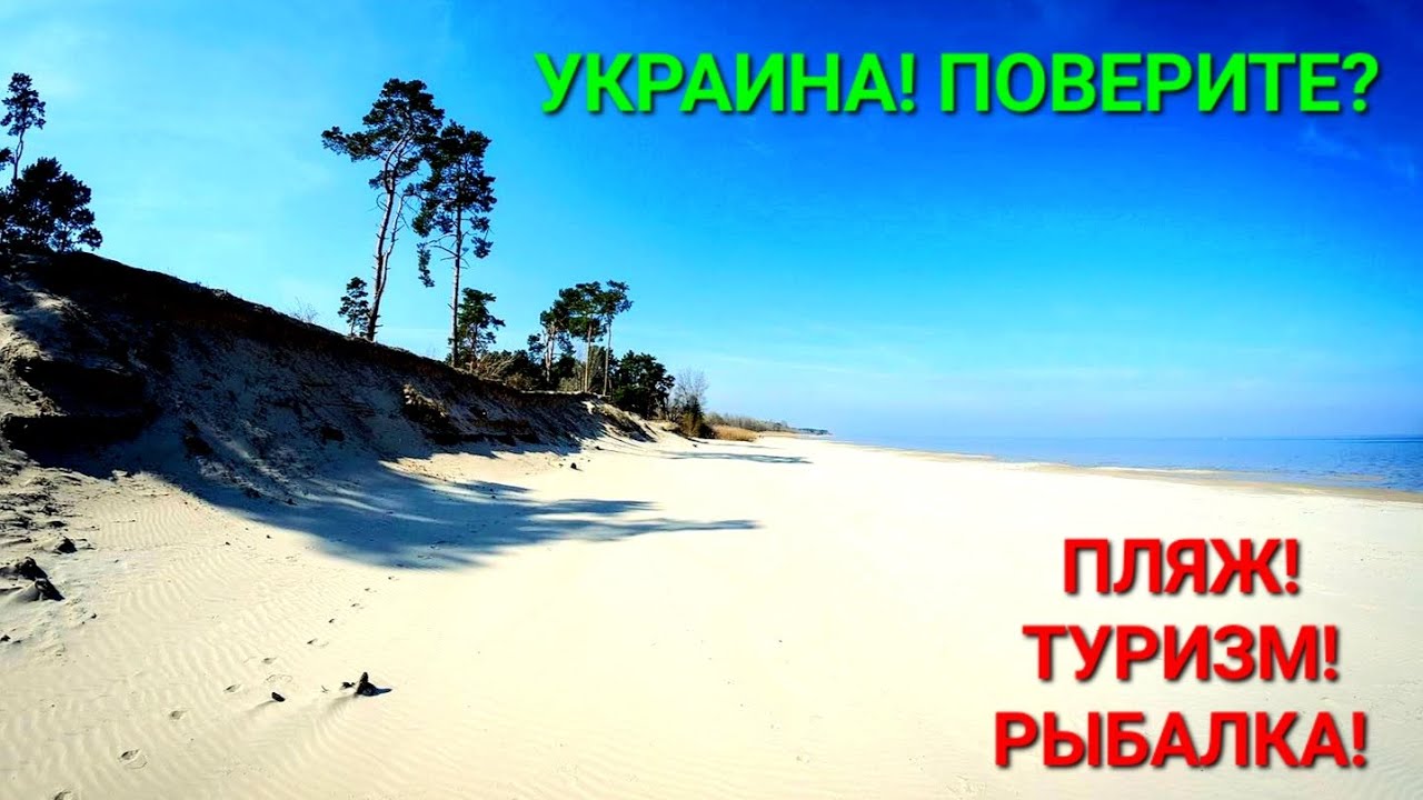 Пляжи Украины. Белоснежный песок. Сагуновка. Черкассы. Река Днепр. Бюджетный отдых. Рыбалка #зоотроп