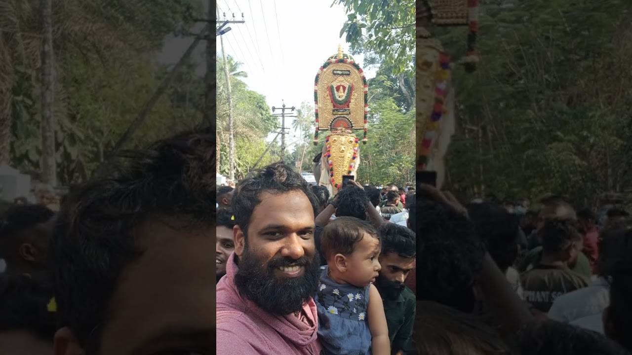 Thechikottukavu Ramachandran at Peringottukara Somasekhara Temple for Thanniyam desham #elephant