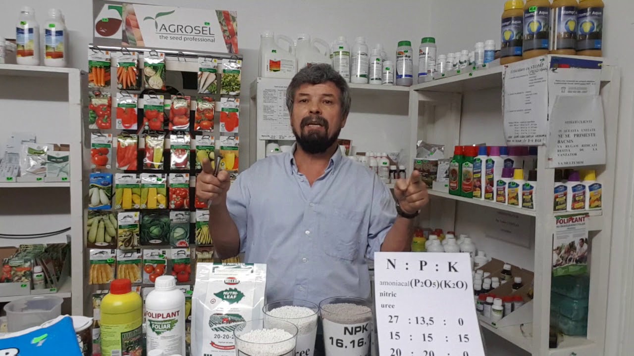 Gazonul - fertilizare cu ingrasaminte chimice