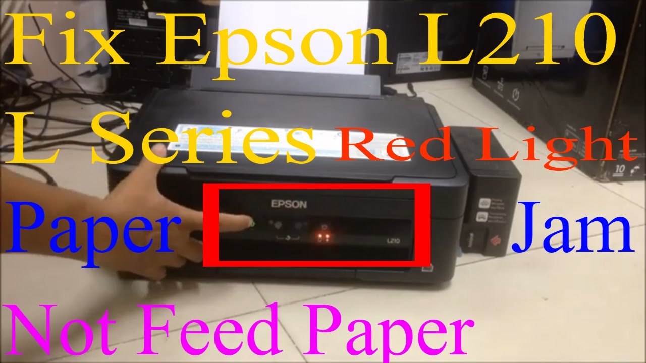 Epson L210 error paper not feed repair