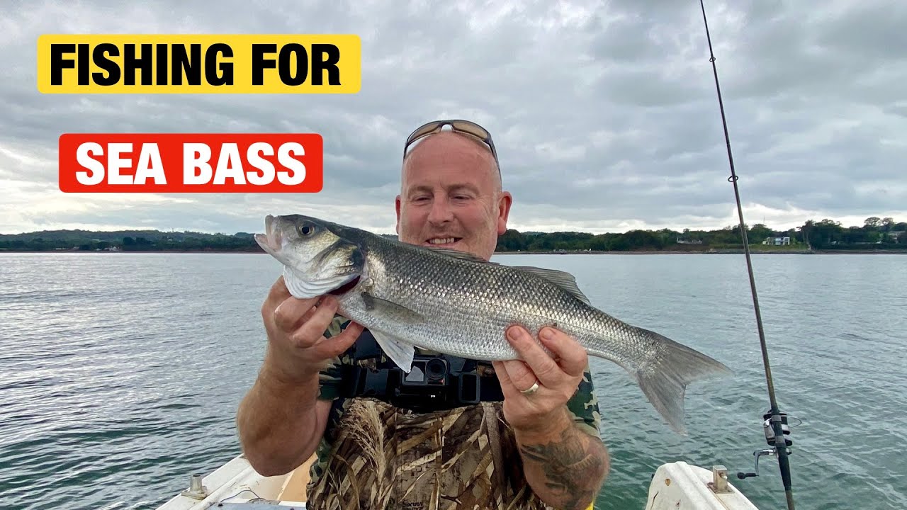 Bass Fishing !!! Fishing For Bass In Anglesey