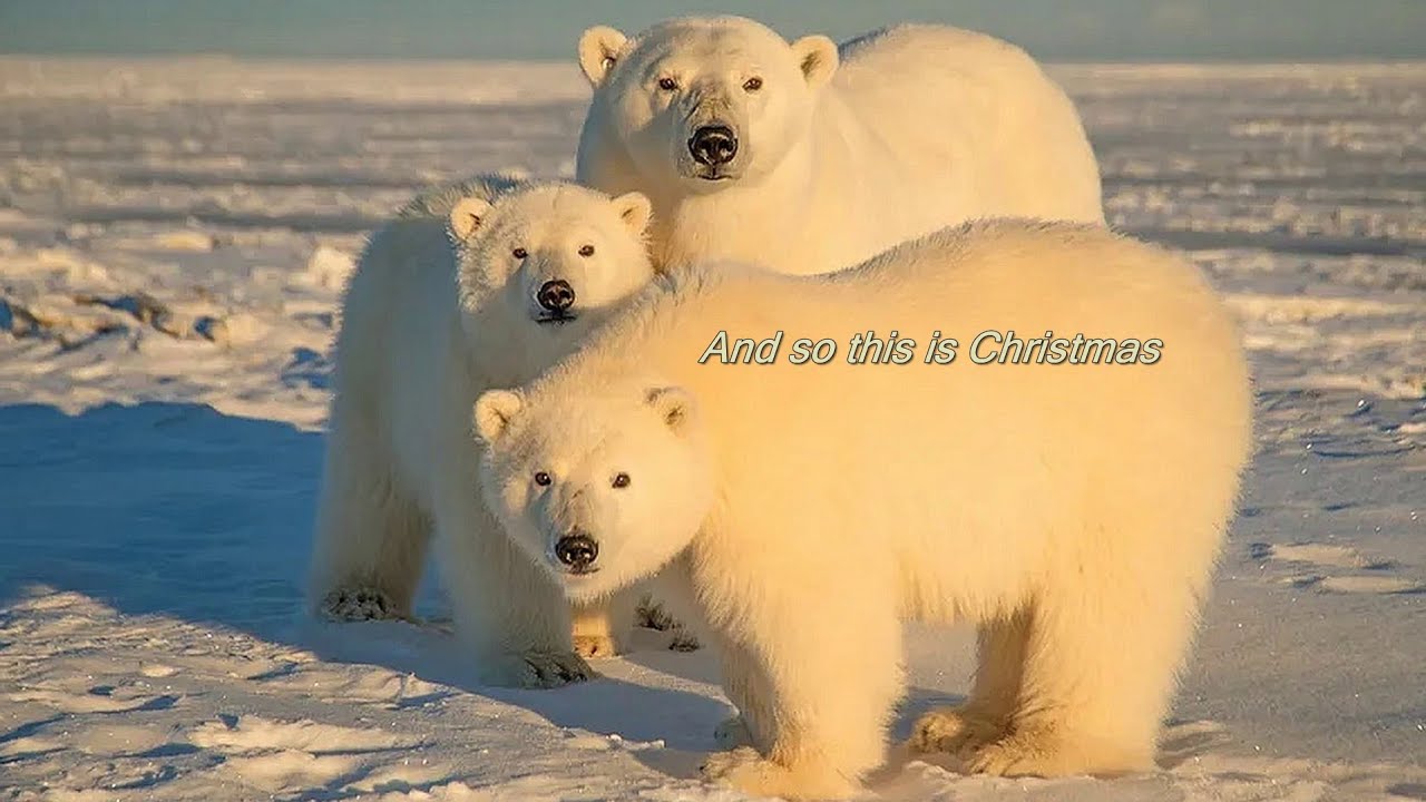 ⭐️🎄John Lennon - 