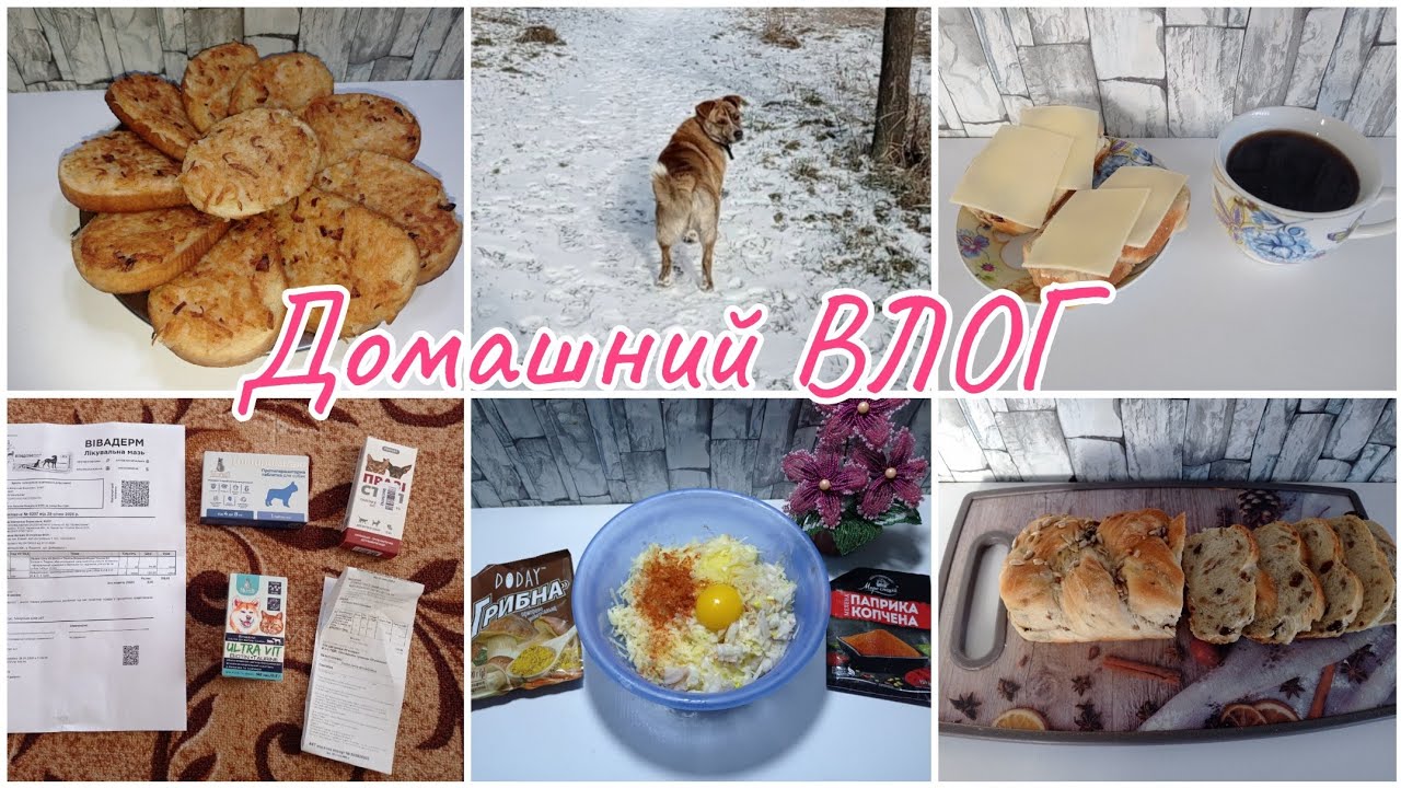 Домашний ВЛОГ. Будни Айболита. Вкусные гренки.