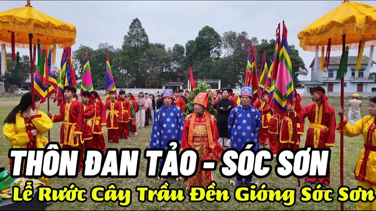 Lễ hội Gióng đền Sóc, Thôn Đan Tảo - Sóc Sơn tổng duyệt lễ cung tiến lễ vật Trầu Cau