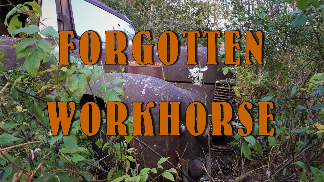 Forgotten Workhorse - An Abandoned Commer Truck In the Forest