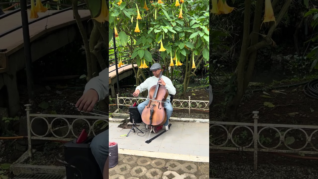 The sound os silence 😂 #streetperformer #evasabela