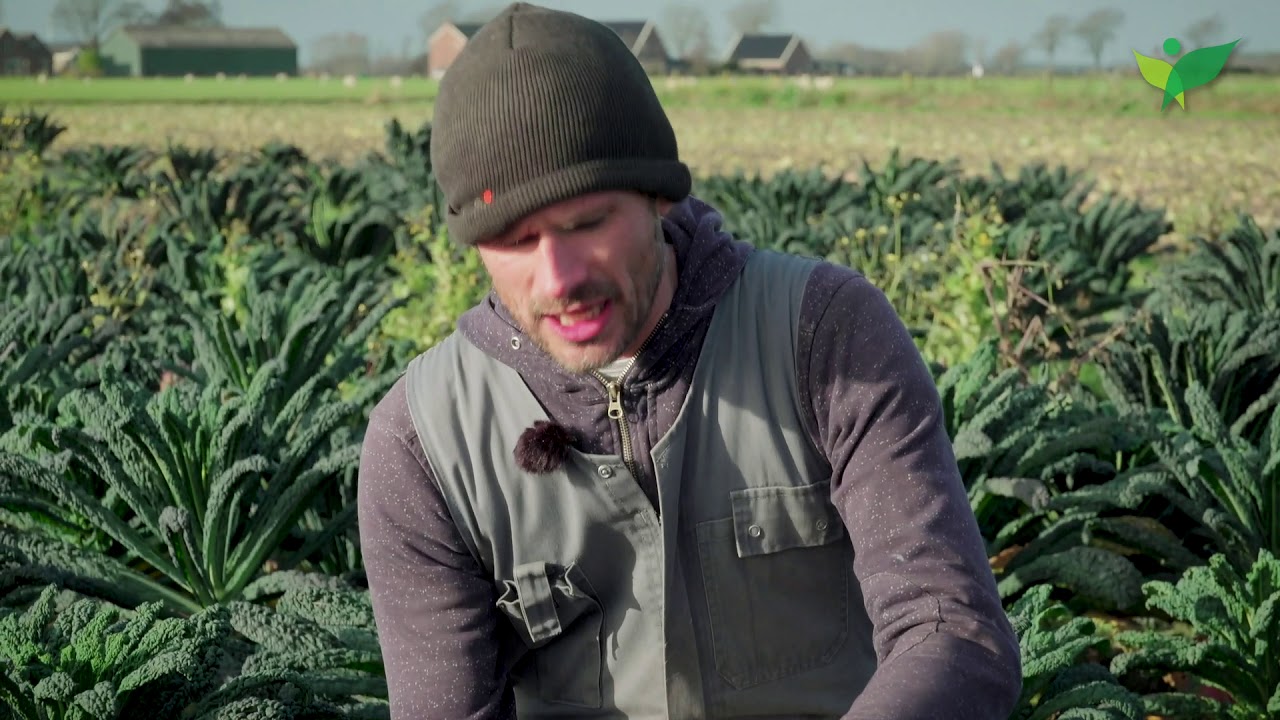 Ekoplaza | Biodynamische tuinderij van De Lepelaar