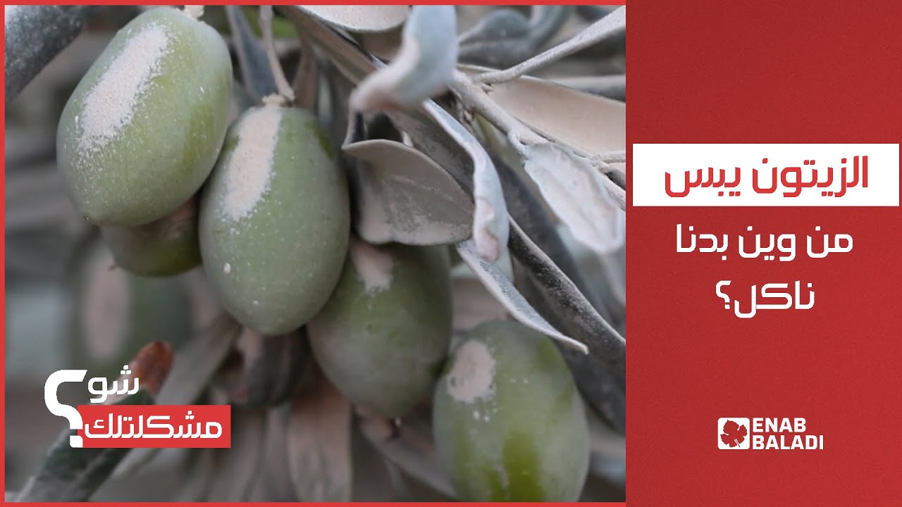 مقلع حجريّ يُلحِقُ الضرر بمزارعي كفرعروق بريف إدلب | شو مشكلتك