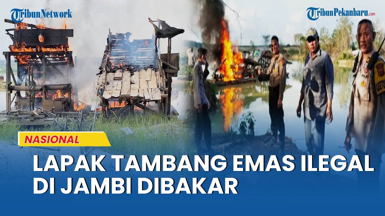 Puluhan Mesin Tambang Emas Ilegal yang Beroperasi di Bungo, Jambi Dibakar