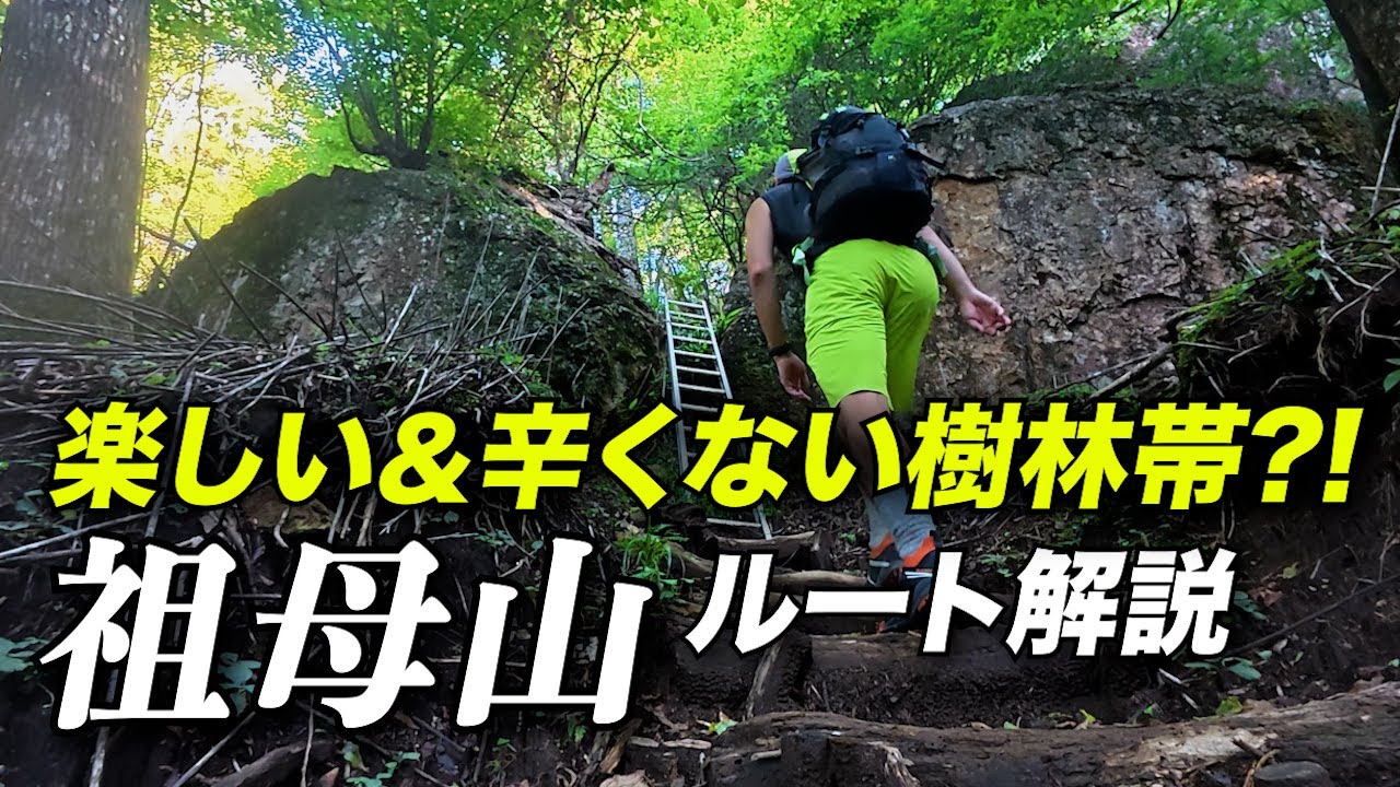 【九州遠征②】見どころ満載の樹林帯の先の絶景とは|名峰祖母山の日帰り周回ルートを徹底レポート