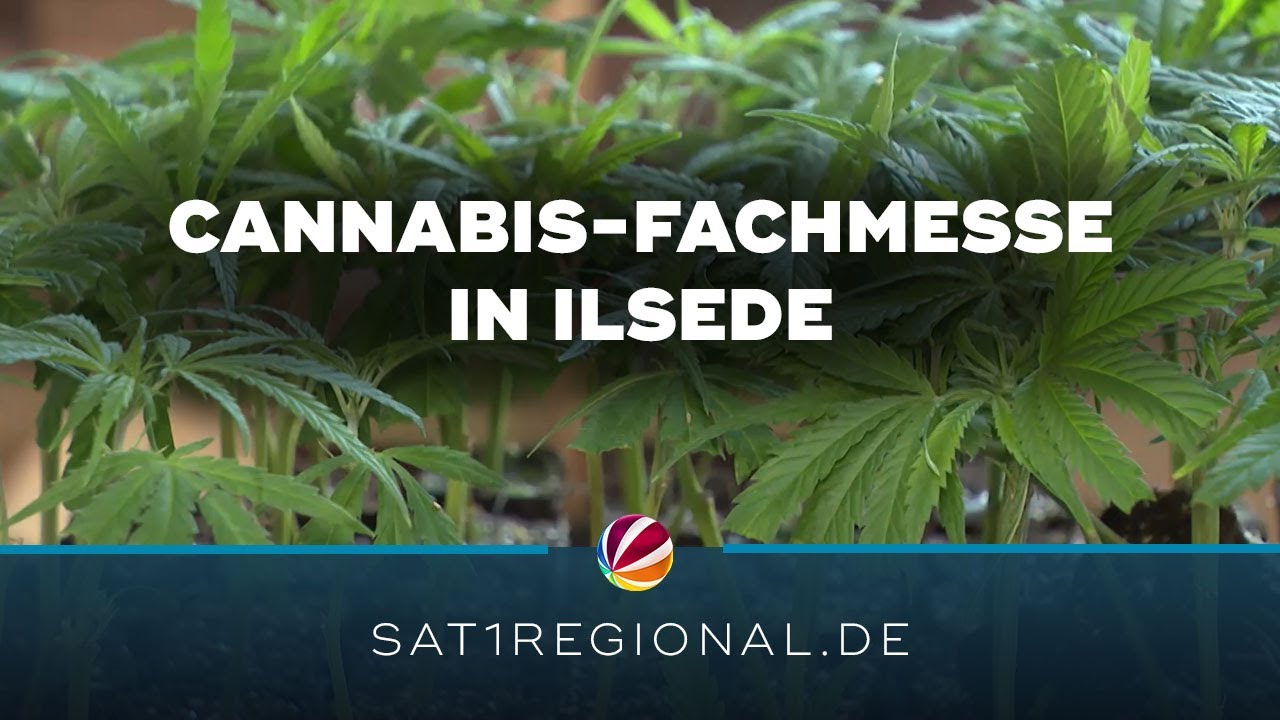 Cannabis-Fachmesse in Ilsede gestartet