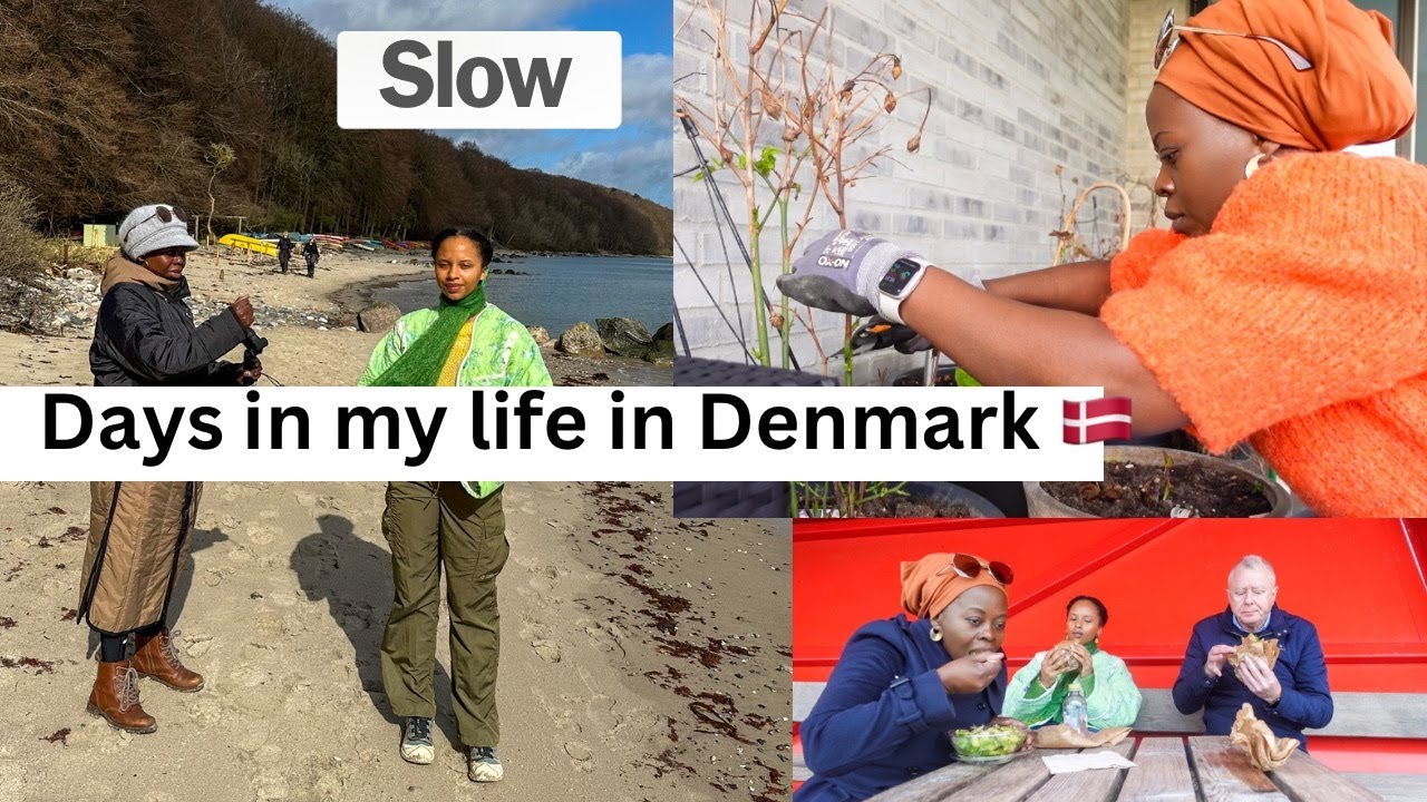 Days in My Simple Scandinavian life Vlog| Largest limestone in the world  #lifeindenmark