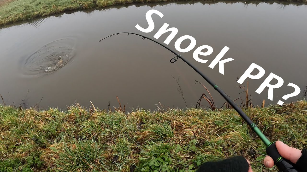 Eerste snoek van 2025: Gaat het lukken om een PR te vangen?