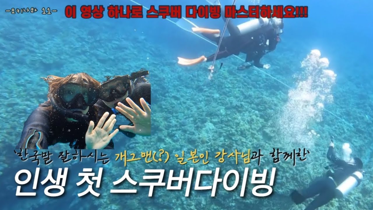[오키나와11]스쿠버 다이빙 처음이신 분 come on❗️ 와따오키나와 한국말 만랩 강사님께 스쿠버 다이빙 쉽게 배우고 왔어요😍