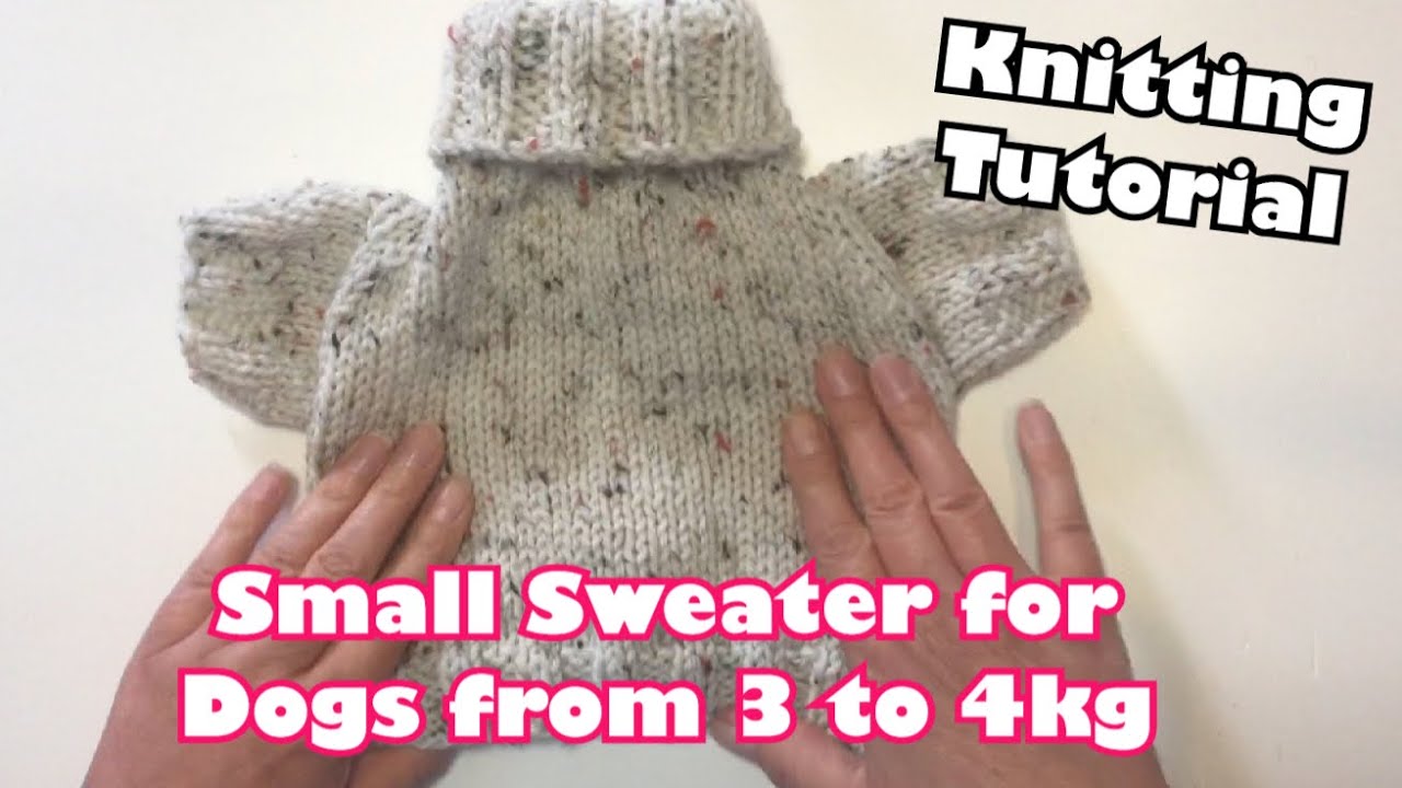 DIY Small Sweater for Dogs from 3 to 4kg Knitting Tutorial