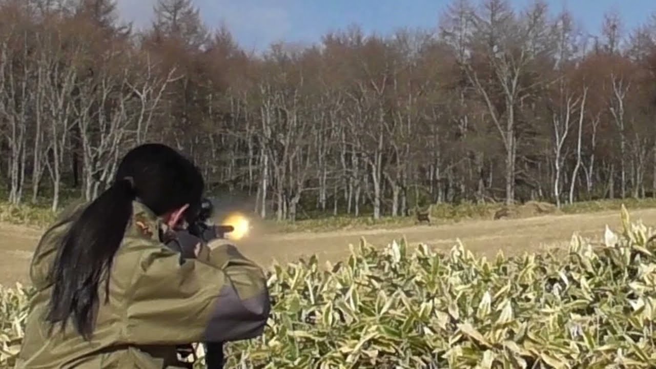 ハンター女子  初銃砲所持許可そして初狩猟３日目　【凄い映像が撮れた❕大物３段角オス鹿を１００ｍ立射で仕留める！！