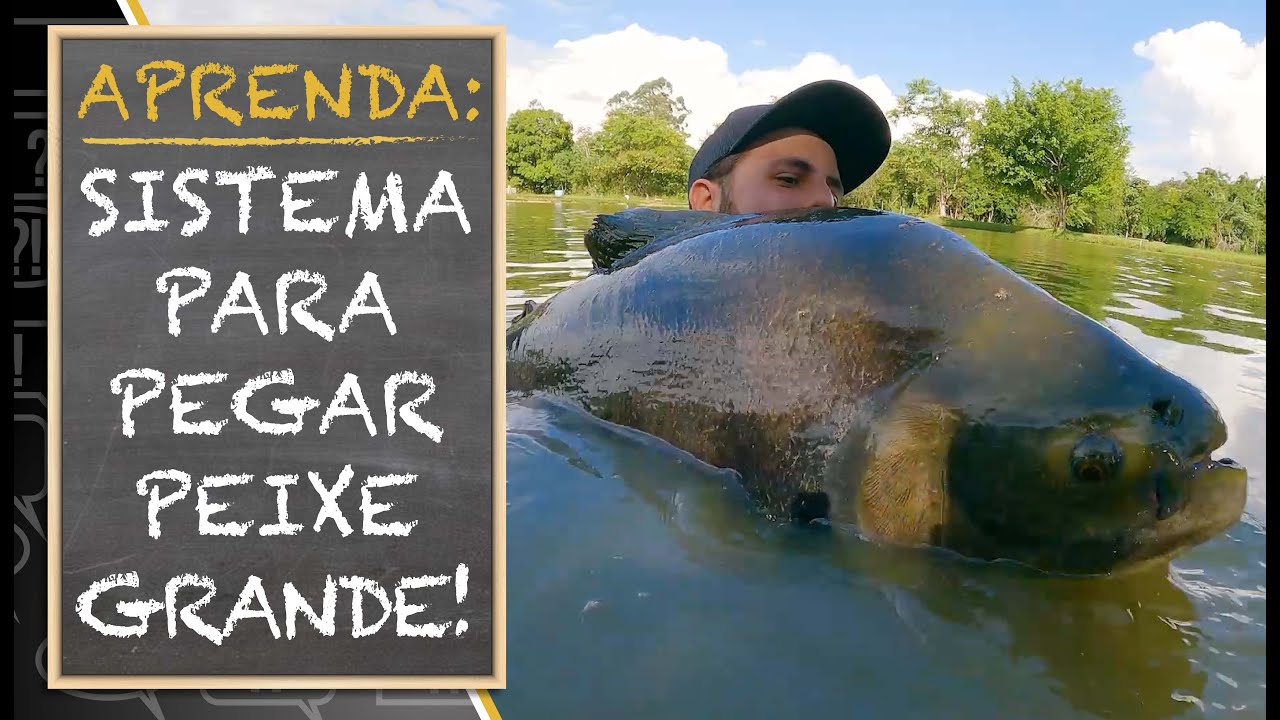 APRENDA:  SISTEMA PARA PEGAR PEIXE GRANDE!! (TUTORIAL COMPLETO)