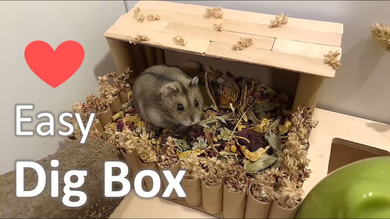 DIY Dig Box from Cardboard for a Natural Hamster Cage Setup