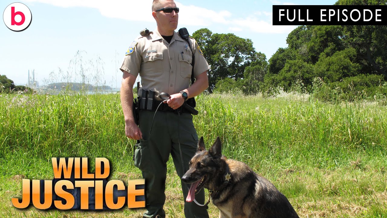 Wild Justice: California | Season 1 Episode 5 (2010) | FULL EPISODE