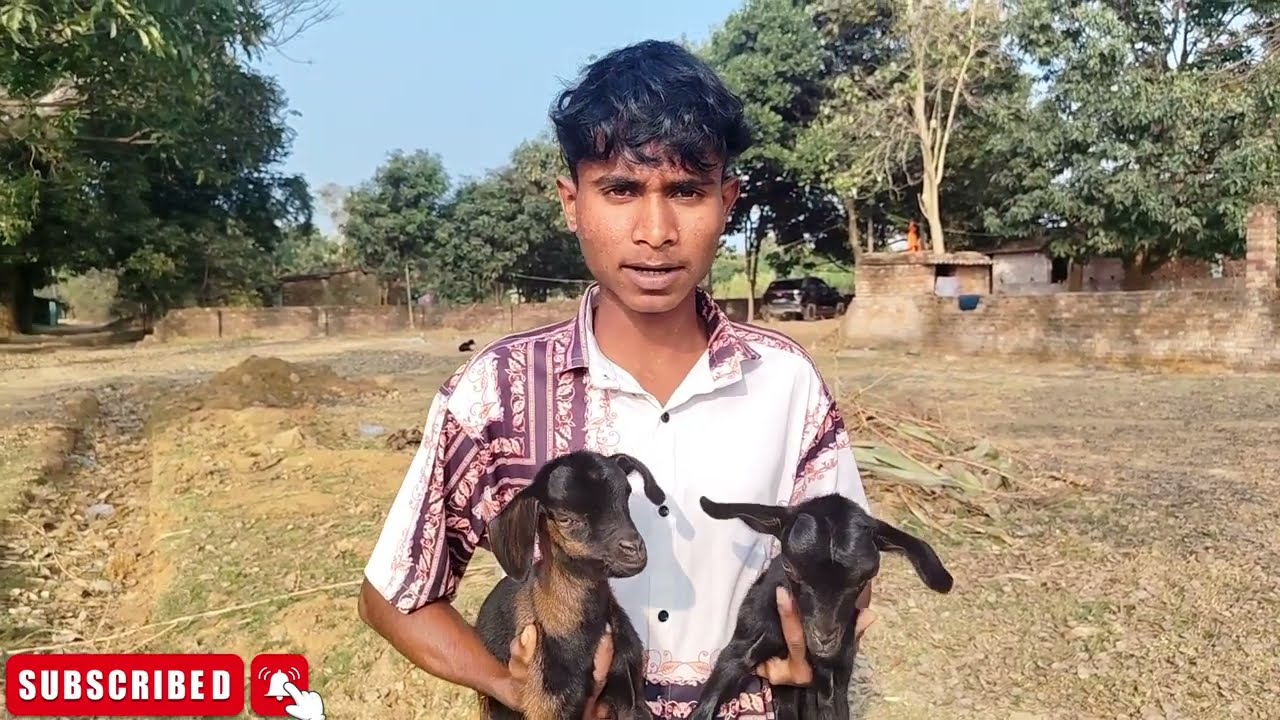 Aaj fie se bakri charne😂 gya tha Bhaut mja aaya end no miss😱 #trending #vlog #viral @Bachablog100k