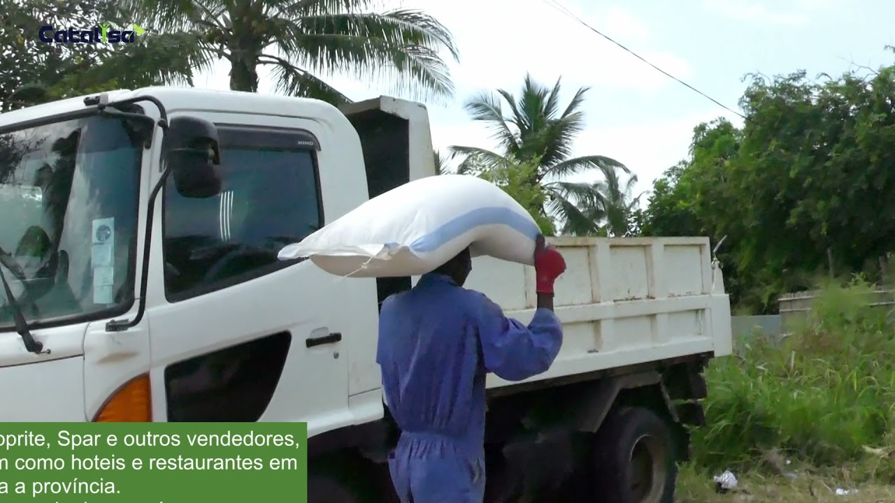 Catalisa: Produção Comercial de Ovos em Cabo Delgado