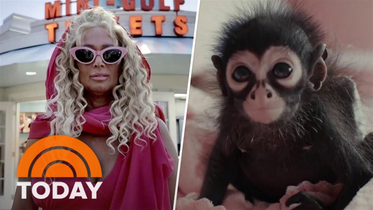 ‘Chimp Crazy’ dives into the eccentric world of ‘monkey moms’