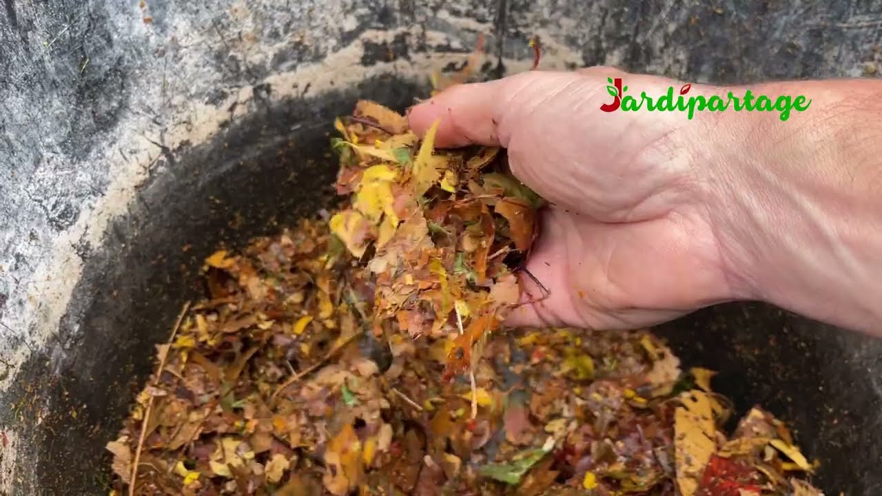 Peut-on mettre toutes les feuilles mortes dans le compost ?