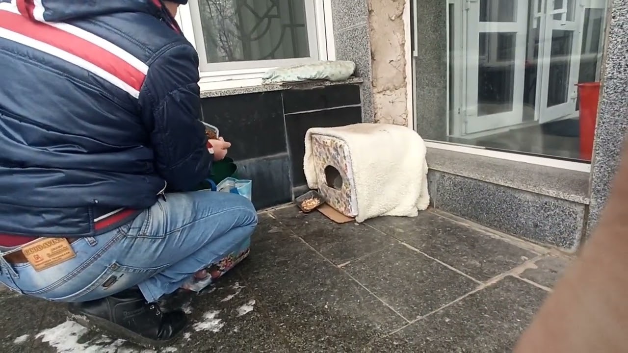 Хомячок В Блуде / Hamster in the Cage 🔥