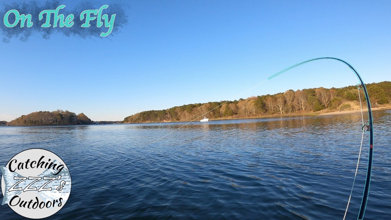 Fly Fishing for Striper and Shad: Cape Cod Spring 2021 (S2 Ep.2)