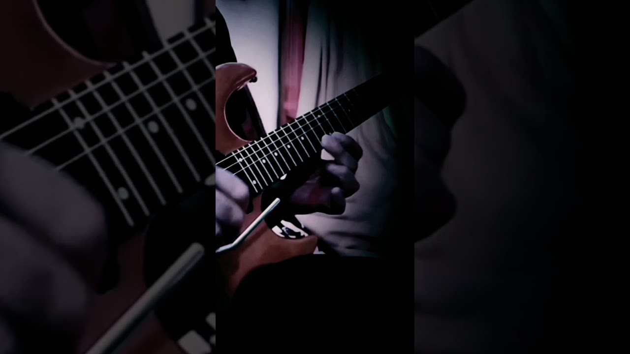 🎸🎻 