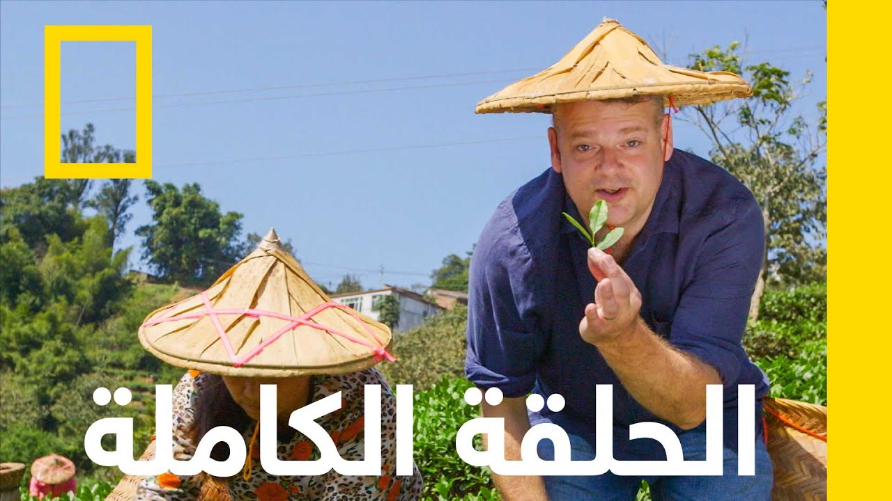 الشاي | مسار الصحوة | ناشونال جيوغرافيك أبوظبي