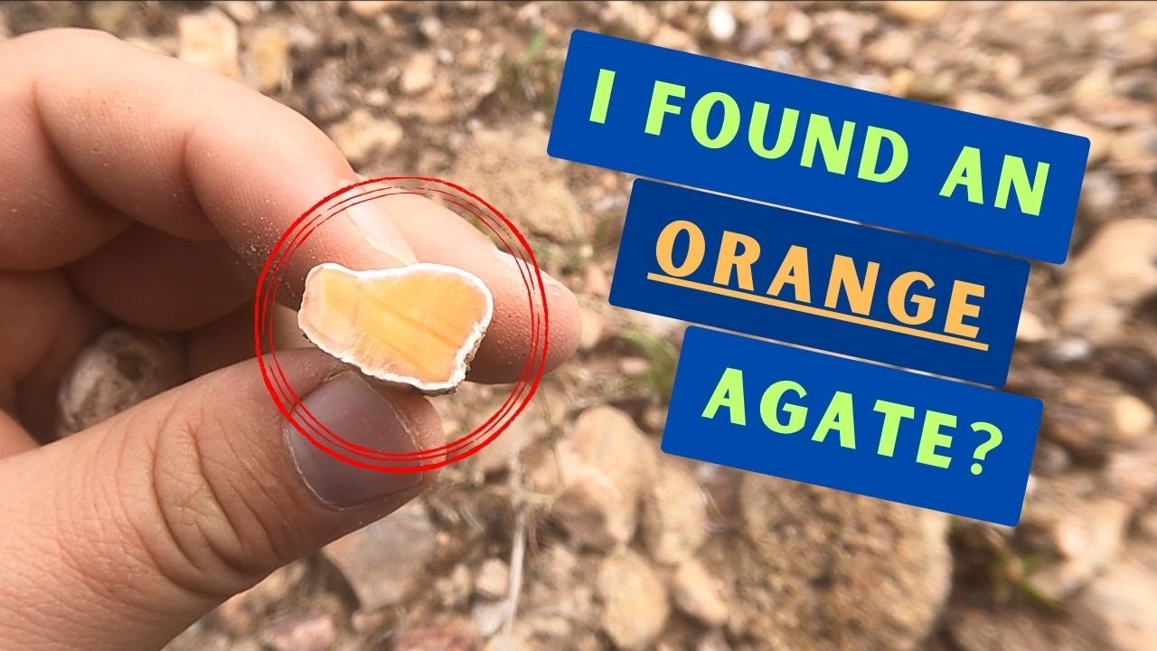 The Return to Glade Park! Goldmine of Agates or Just a Few Lucky Finds?