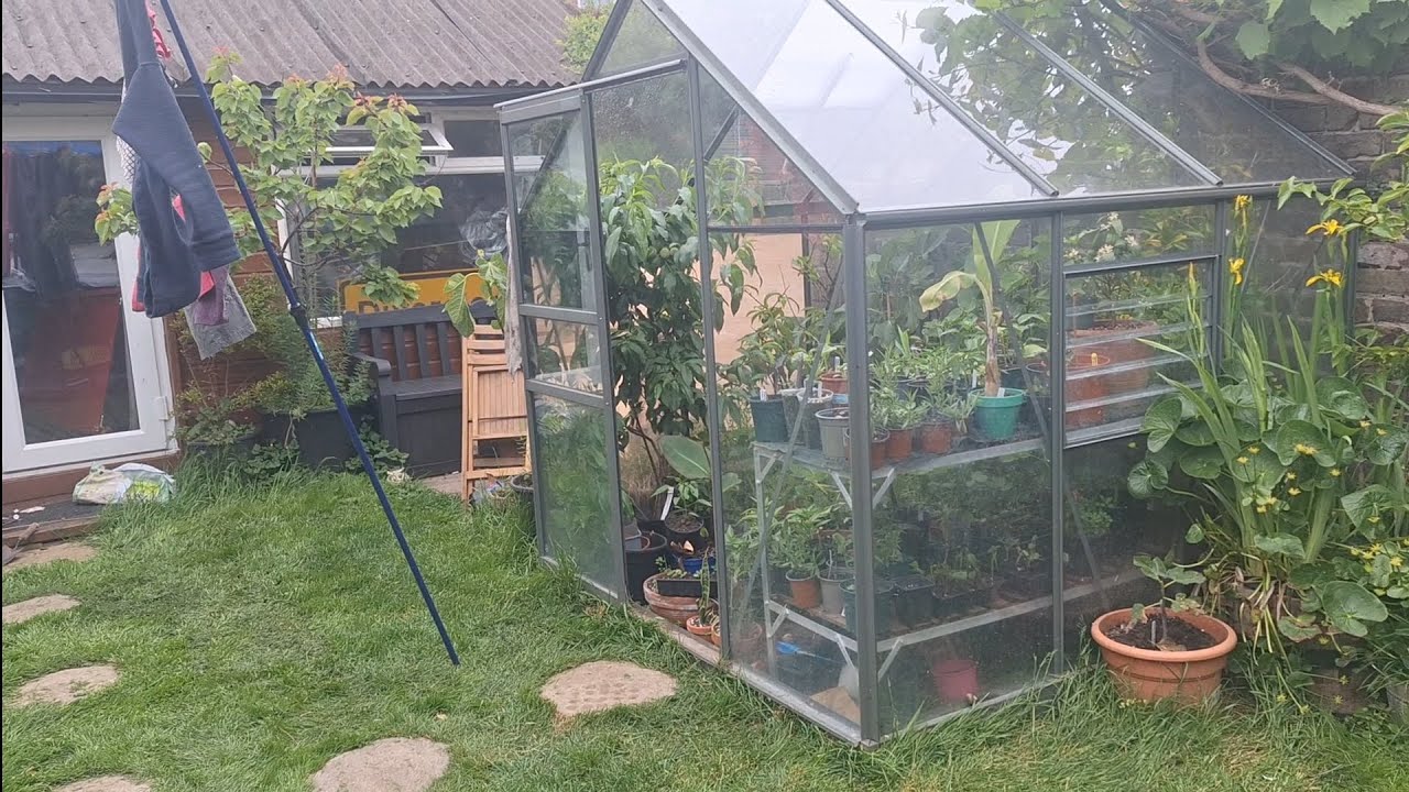 Absolutely jampacked greenhouse in May
