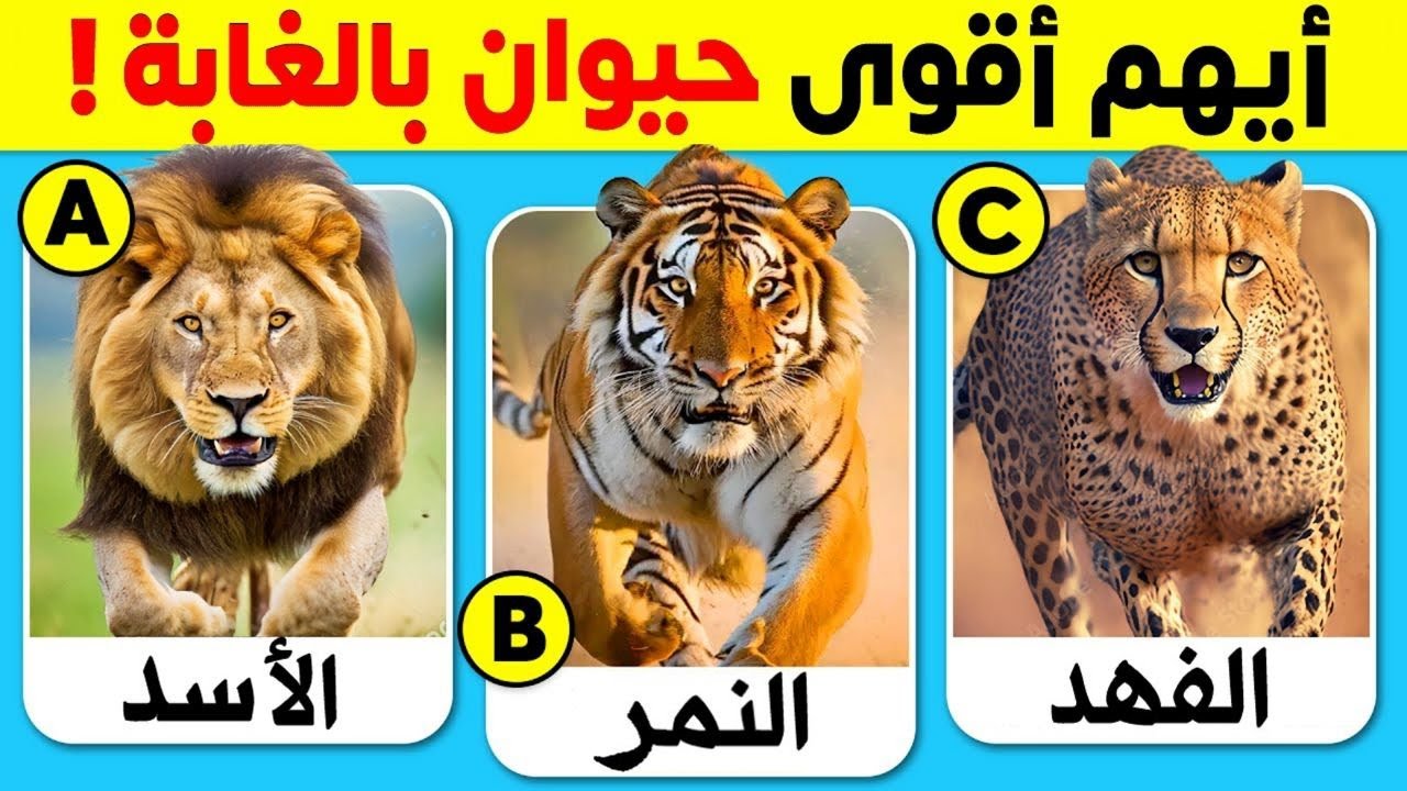 30 اسئلة واجوبة ومعلومات ثقافية مفيدة عن الحيوانات 🐅🐆✅ | لن تعرف حلها ! الغاز للاذكياء..!!