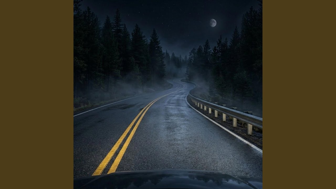 This Quiet Night