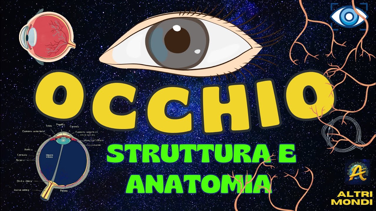 👁️‍🗨️ Anatomia e Funzioni dell’Occhio Umano: Scopri Come Funziona la Vista!