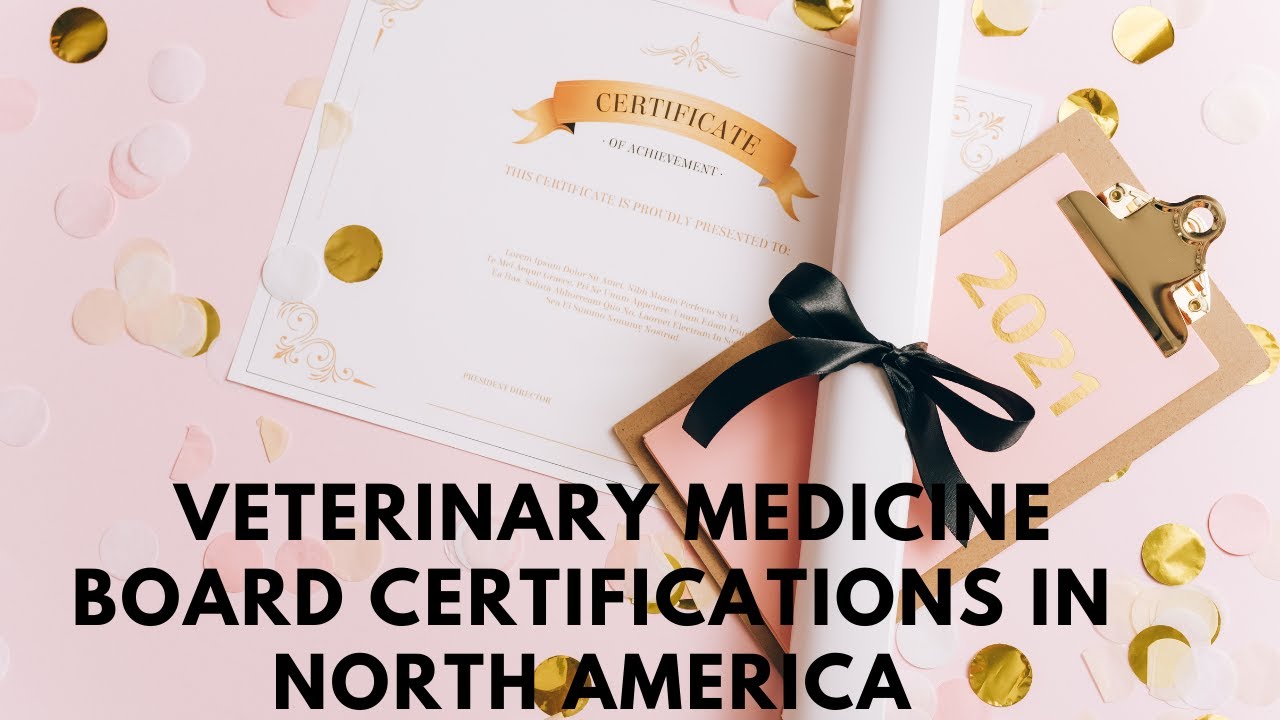 Veterinary Board certification in US and Canada without licensing exam