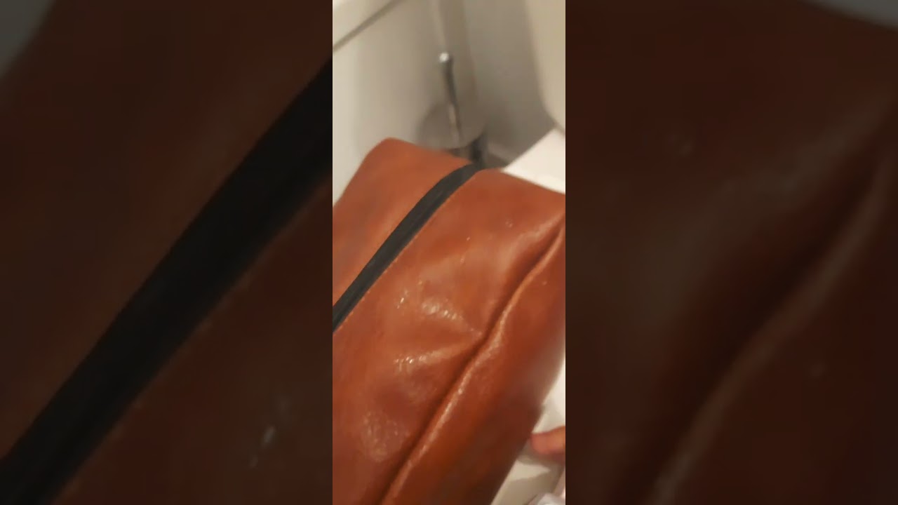 Limpando um banheiro no Canad&aacute; 