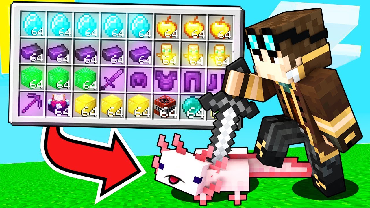 MINECRAFT MA GLI AXOLOTL DROPPANO OGGETTI SUPER!!