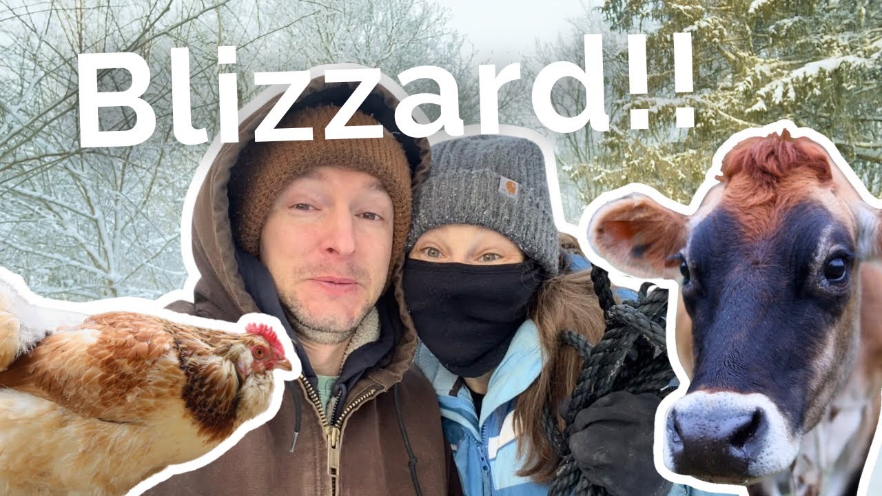 Animal chores as the temps drop to -35°F!