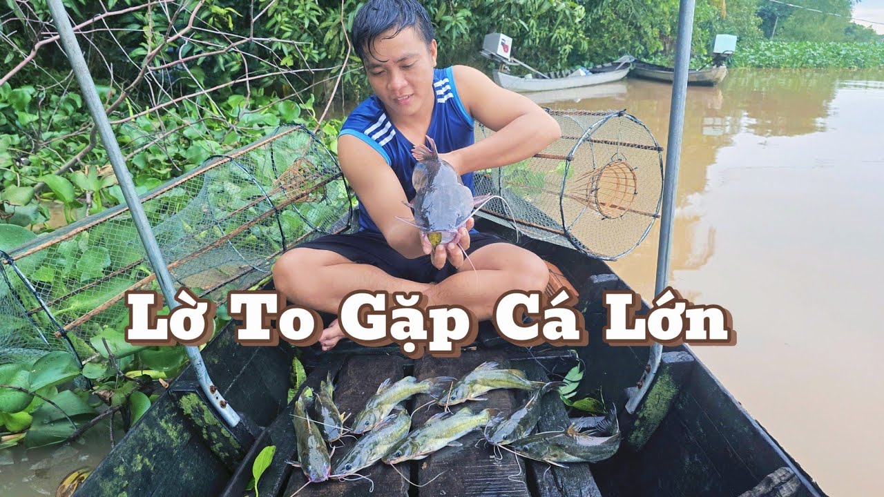 Lờ To Gặp Cá Khủng "Bà Cậu Độ " Trúng Cá Thấy Ham  |Cơm Quê Nhà 171# 