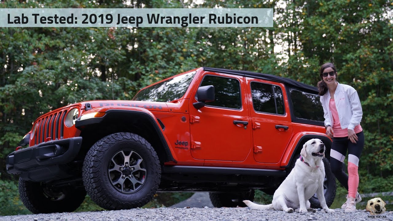 2019 Jeep Wrangler Unlimited Rubicon: Andie the Lab Review!