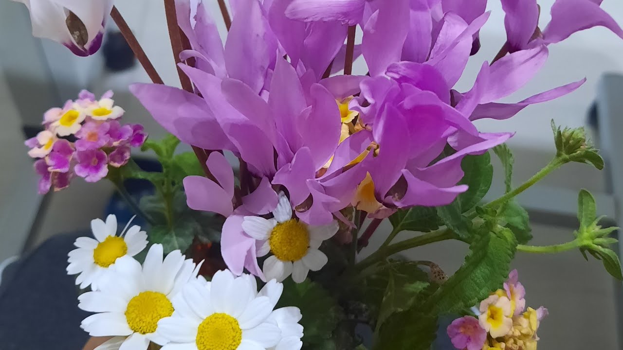 tizeta  ትዝታ  is live