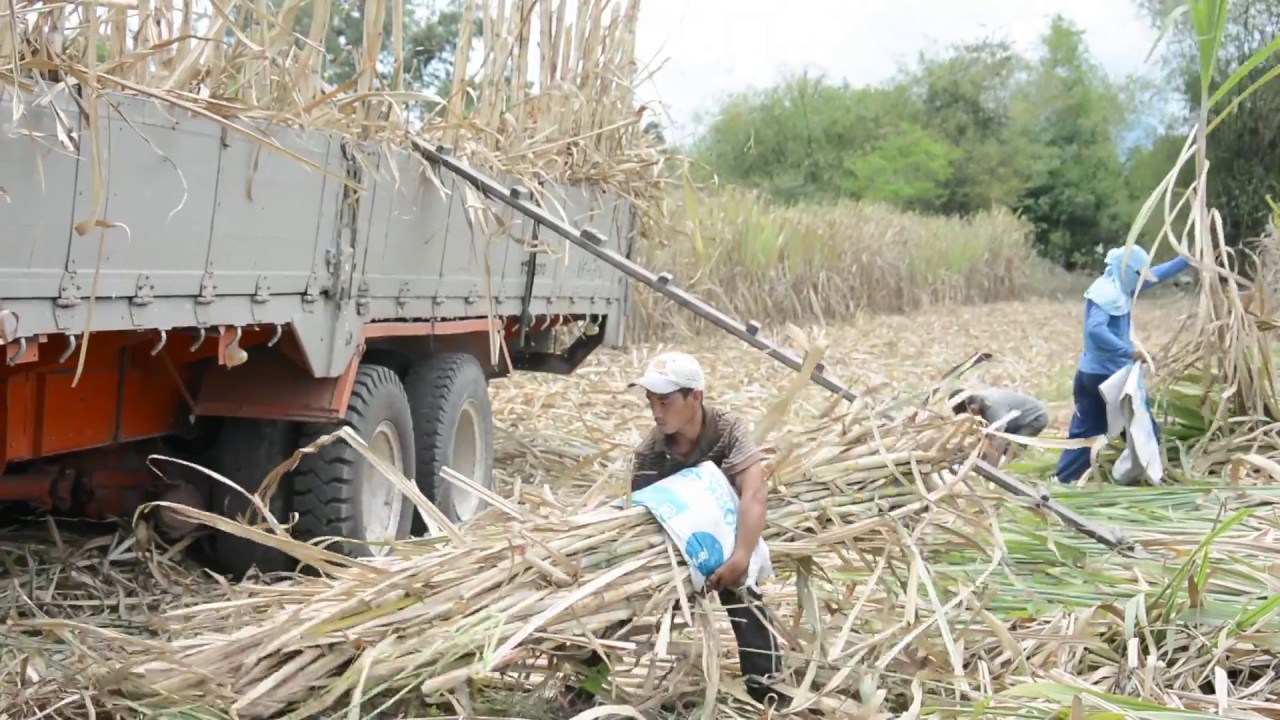 Gawad Saka 2017: Dr. Richard Torno Regional Outstanding Sugarcane Farmer